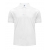 Koszulka Polo męska  Cotton 100%